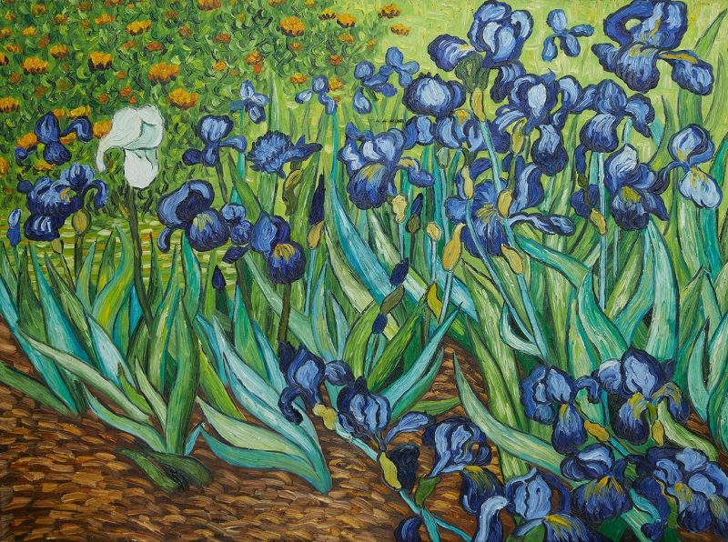 Hoa diên vĩ là một trong những bức tranh được thực hiện trong giai đoạn khủng hoảng thần kinh của Van Gogh