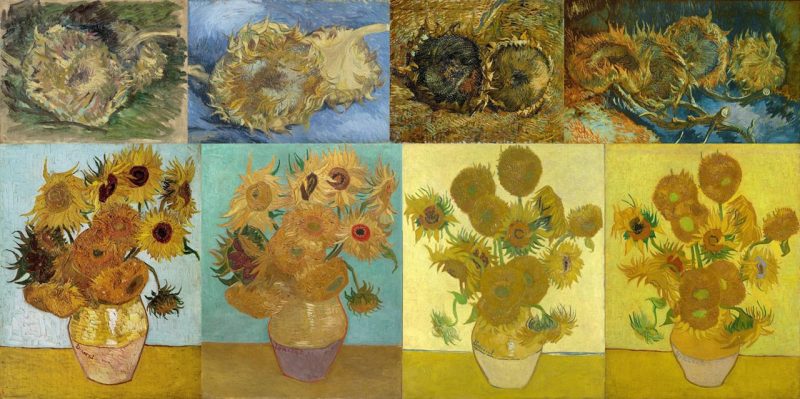 Hình ảnh hoa hướng dương xuất hiện nhiều trong tranh Van Gogh trong nhiều khung cảnh khác nhau
